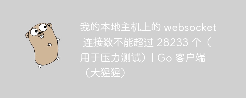 我的本地主机上的 websocket 连接数不能超过 28233 个（用于压力测试）| Go 客户端（大猩猩）