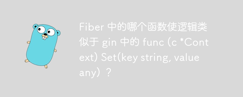 fiber 中的哪个函数使逻辑类似于 gin 中的 func (c *context) set(key string, value any) ？