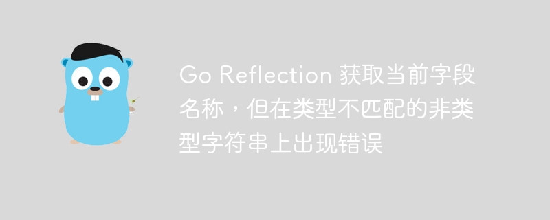 go reflection 获取当前字段名称，但在类型不匹配的非类型字符串上出现错误
