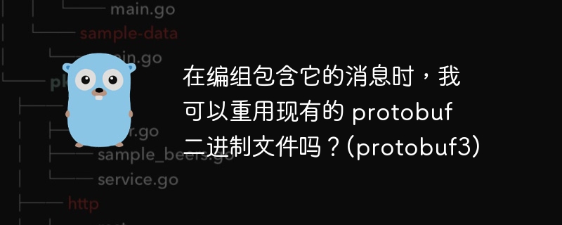 在编组包含它的消息时，我可以重用现有的 protobuf 二进制文件吗？(protobuf3)