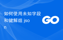 如何使用未知字段和键解组 json