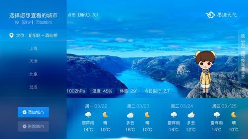 How to add widgets to Moji Weather