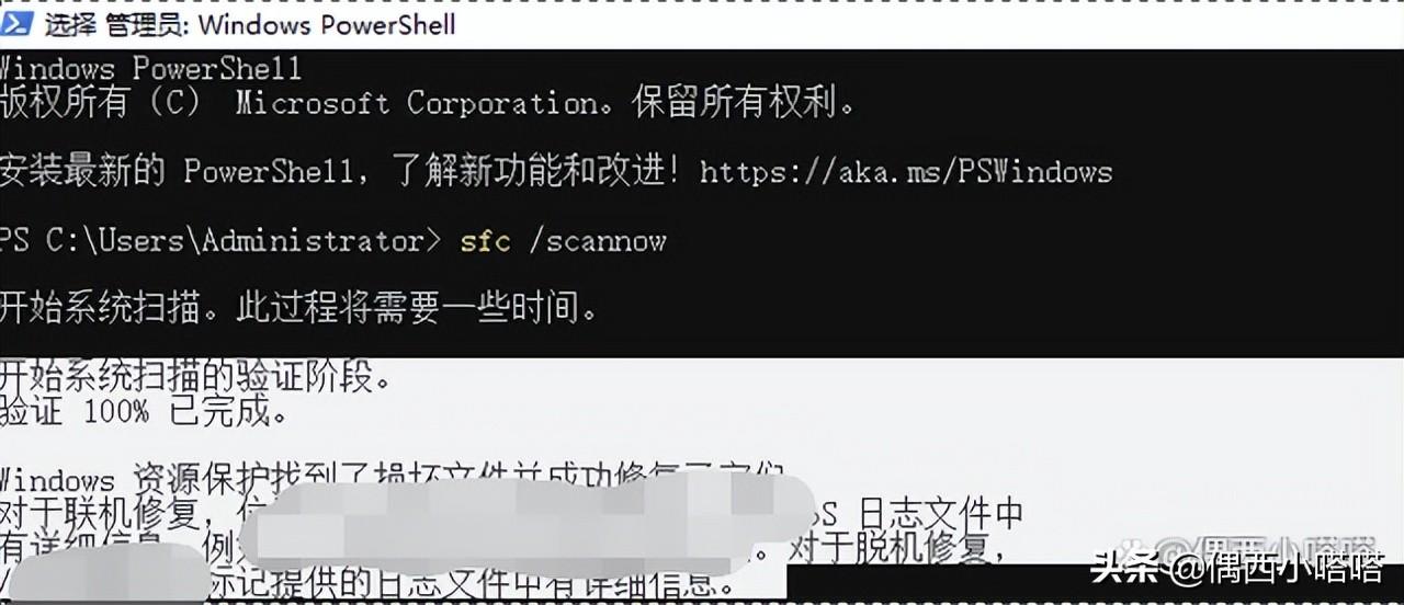 微软商店打不开了怎么办 最新Microsoft Store无法加载的解决方法