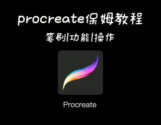ipad画画新手入门必学 必看:procreate保姆教程