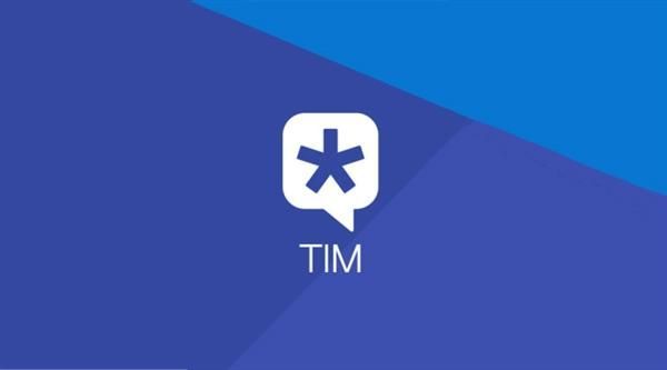 How to set online status of TIM