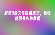 解密U盘文件隐藏技巧,轻松找回丢失的数据