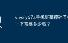 vivo y67a手机屏幕摔碎了换一下需要多少钱？