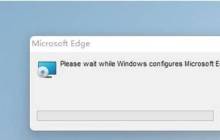 Win11 flash运行异常问题修复失败怎么办