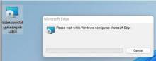 Win11 flash运行异常问题修复失败怎么办