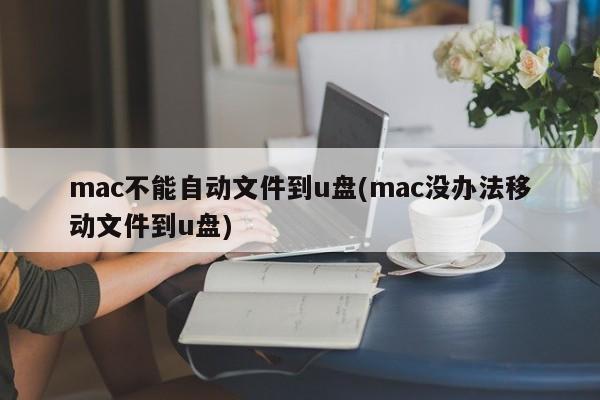 mac不能自动文件到u盘(mac没办法移动文件到u盘)