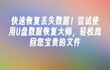 快速恢复丢失数据!尝试使用U盘数据恢复大师,轻松找回您宝贵的文件