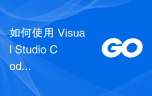 如何使用 Visual Studio Code IDE 附加到交叉编译的 go 二进制文件以进行调试？