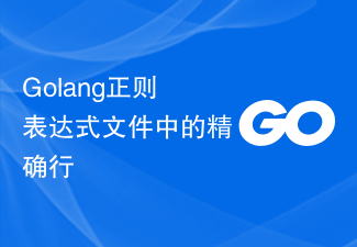 Golang正则表达式文件中的精确行