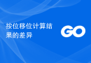 按位移位计算结果的差异