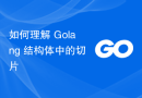 如何理解 Golang 结构体中的切片
