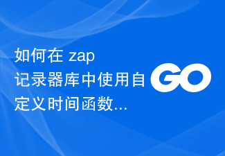 如何在 zap 記錄器庫中使用自訂時間函數