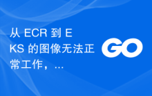 从 ECR 到 EKS 的图像无法正常工作，因为生成的 Pod 始终为 0/2