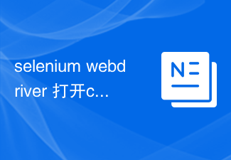 selenium webdriver 打开chrome但打不开whatsappWeb