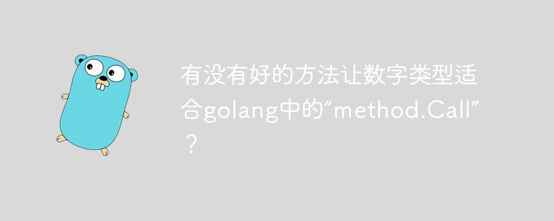 golang의 method.Call에 적합한 숫자 유형을 만드는 좋은 방법이 있습니까?