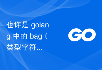 也许是 golang 中的 bag（类型字符串和字符串不匹配）