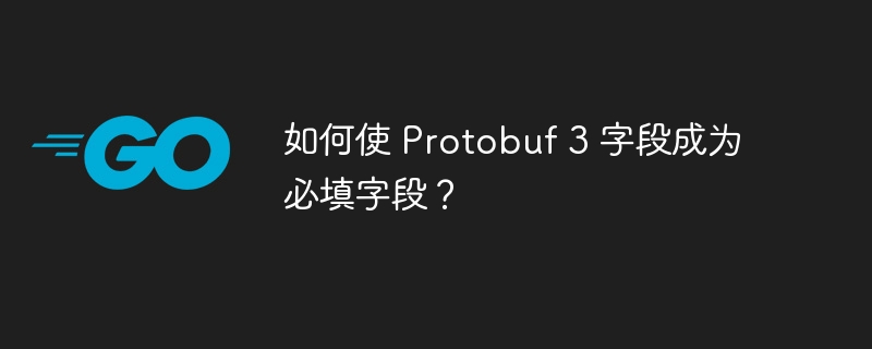 如何使 protobuf 3 字段成为必填字段？