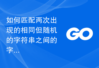 如何匹配兩次出現的相同但隨機的字串之間的字符