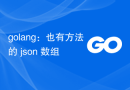 golang：也有方法的 json 数组