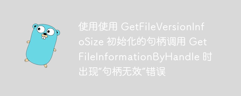 使用使用 getfileversioninfosize 初始化的句柄调用 getfileinformationbyhandle 时出现“句柄无效”错误