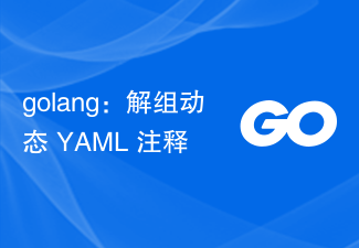 golang: 動的な YAML コメントのアンマーシャリング