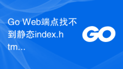 Go Web エンドポイントが静的な Index.html ファイルを見つけることができません