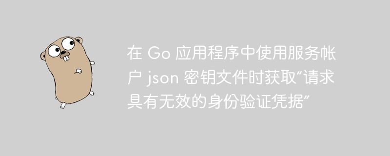 在 Go 应用程序中使用服务帐户 json 密钥文件时获取“请求具有无效的身份验证凭据”