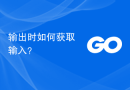 输出时如何获取输入？