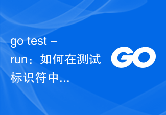 go test -run：如何在测试标识符中指定包