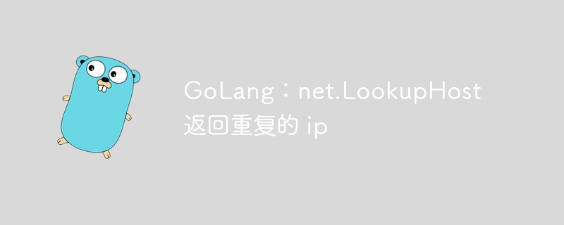 golang：net.lookuphost 返回重复的 ip
