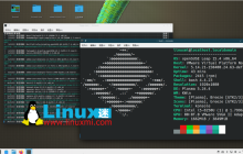 openSUSE Leap 15.5：一款基于企业级Linux的混合型发行版