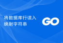 将数据库行读入映射字符串