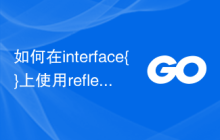 如何在interface{}上使用reflect.NewAt？