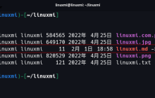 如何在 Linux 中创建符号链接 [完整指南]