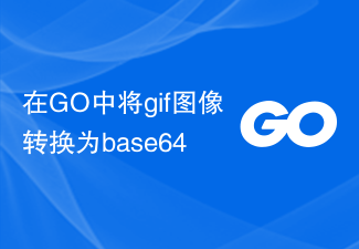 GO에서 gif 이미지를 base64로 변환