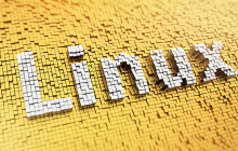 在Linux中如何注销其他 SSH 用户