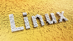 在Linux中如何注销其他 SSH 用户
