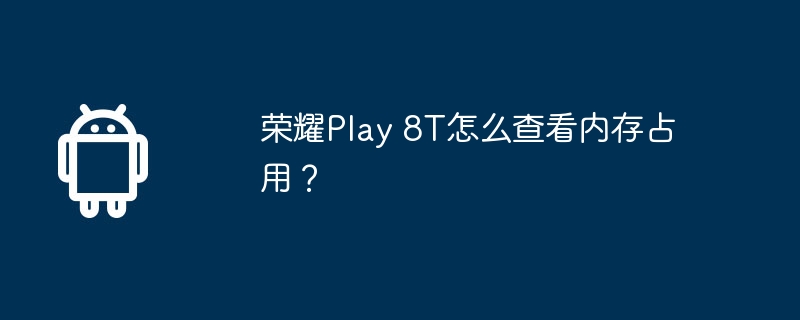 荣耀play 8t怎么查看内存占用？