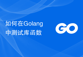 如何在Golang中測試庫函數