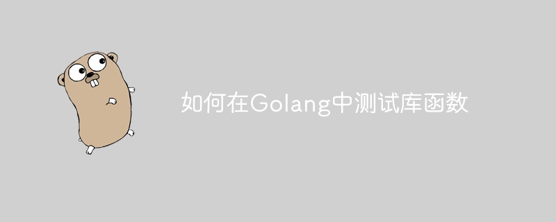 Golang에서 라이브러리 기능을 테스트하는 방법