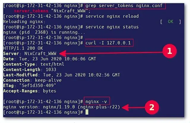 Nginx-Version unter Linux und Unix ausblenden