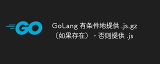 golang 有条件地提供 .js.gz（如果存在），否则提供 .js