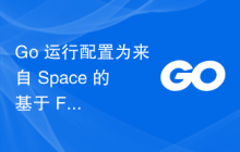 Go 运行配置为来自 Space 的基于 Fleet 的开发环境提供了错误权限