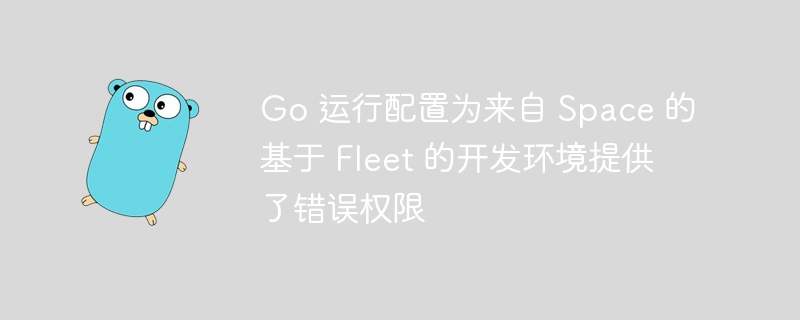 go 运行配置为来自 space 的基于 fleet 的开发环境提供了错误权限