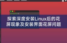 探索深度安装Linux后的花屏现象及安装界面花屏问题