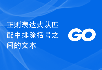 括弧内のテキストを一致から除外する正規表現